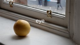 supplement-sarah-forest-recital